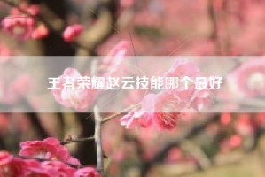 王者荣耀赵云技能哪个最好