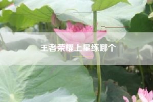 王者荣耀上星练哪个