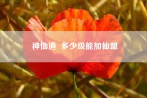 神仙道  多少级能加仙盟