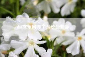 dnf发布网哪个系统最兼容