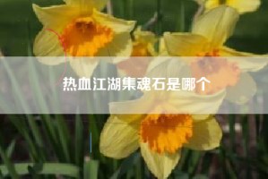 热血江湖集魂石是哪个