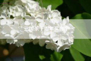 三国杀十周年买哪个