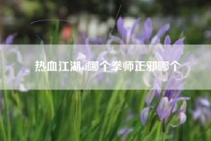 热血江湖sf哪个拳师正邪哪个