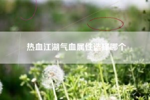 热血江湖气血属性选择哪个