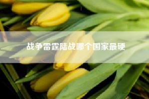 战争雷霆陆战哪个国家最硬