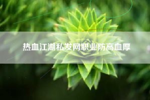 热血江湖私发网职业防高血厚