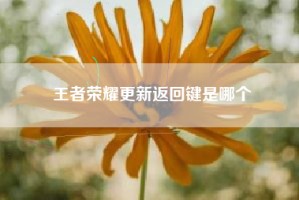 王者荣耀更新返回键是哪个