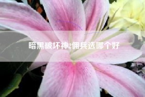 暗黑破坏神2佣兵选哪个好