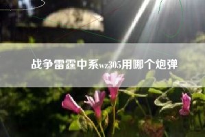 战争雷霆中系wz305用哪个炮弹