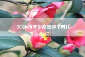 文明6奇琴伊察是哪个时代