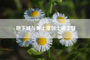 地下城与勇士鬼剑士哪个好