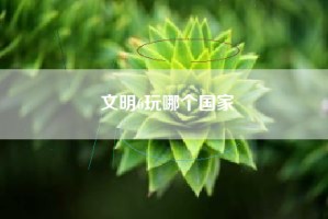 文明6玩哪个国家