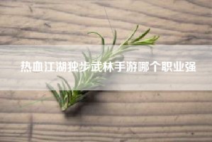 热血江湖独步武林手游哪个职业强