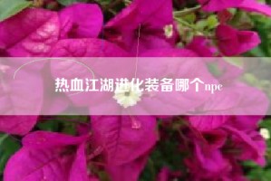 热血江湖进化装备哪个npc