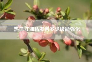 热血江湖私发网多少级能强化