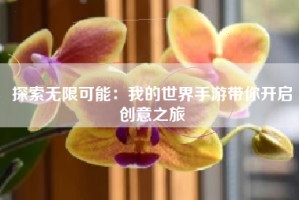 探索无限可能：我的世界手游带你开启创意之旅