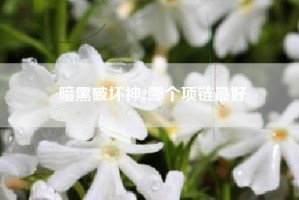 暗黑破坏神2哪个项链最好