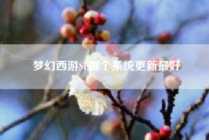 梦幻西游SF哪个系统更新最好