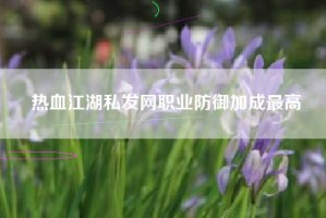 热血江湖私发网职业防御加成最高