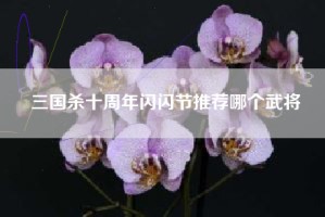 三国杀十周年闪闪节推荐哪个武将