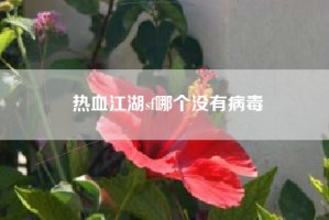 热血江湖sf哪个没有病毒