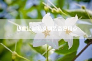 热血江湖私发网装备好用点