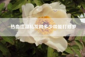 热血江湖私发网多少级能打修罗