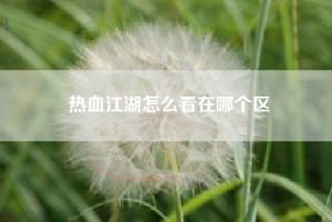 热血江湖怎么看在哪个区