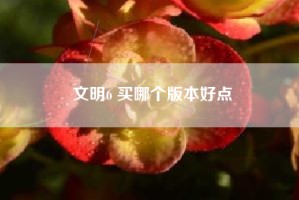 文明6 买哪个版本好点