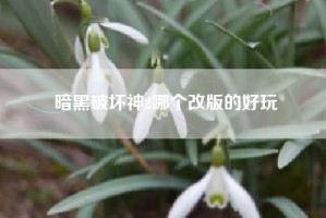 暗黑破坏神2哪个改版的好玩