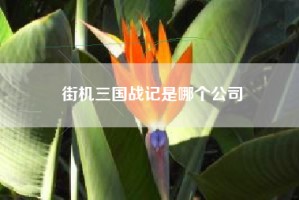 街机三国战记是哪个公司