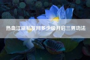 热血江湖私发网多少级开启三界功法