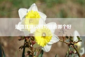 热血江湖闪避与回避哪个好