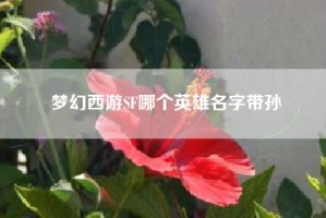 梦幻西游SF哪个英雄名字带孙