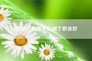 街机三国新手玩哪个职业好