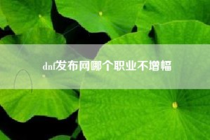 dnf发布网哪个职业不增幅