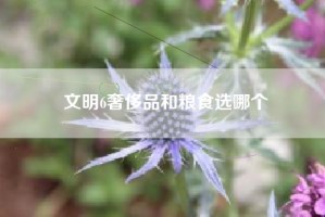 文明6奢侈品和粮食选哪个