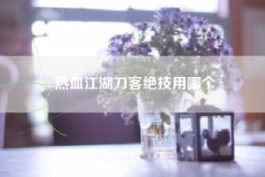 热血江湖刀客绝技用哪个