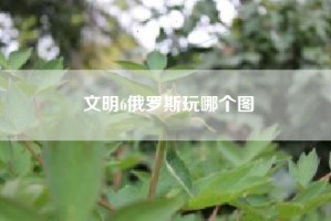 文明6俄罗斯玩哪个图