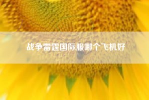 战争雷霆国际服哪个飞机好