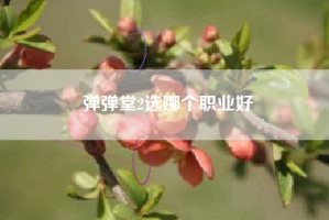 弹弹堂2选哪个职业好