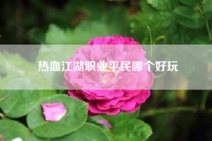 热血江湖职业平民哪个好玩