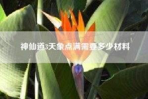 神仙道3天象点满需要多少材料