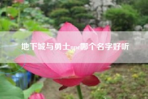 地下城与勇士npc哪个名字好听