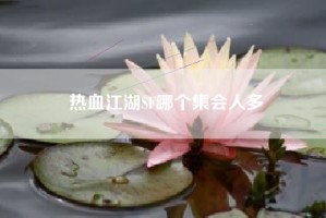 热血江湖SF哪个集会人多