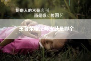 王者荣耀法师皮肤是哪个