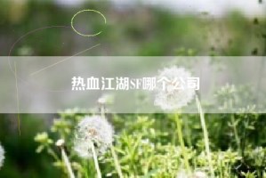 热血江湖SF哪个公司