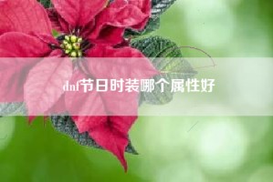 dnf节日时装哪个属性好