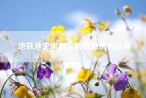 地铁逃生里哪个精致枪伤害最高