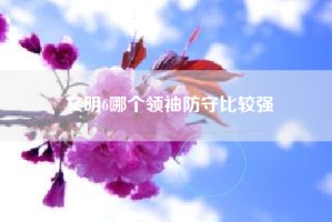 文明6哪个领袖防守比较强